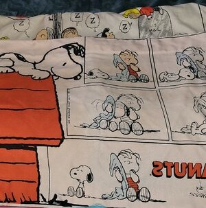 Peanuts Snoopy Twin Comforter with Sham